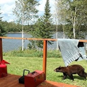 Meet your Posher, Roger